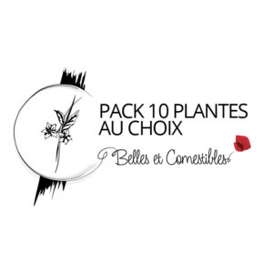 Pack 10 plantes au choix